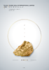 taung-ir2024-en